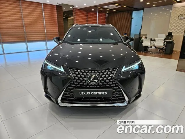 Lexus UX UX300h — Фото автомобиля 3