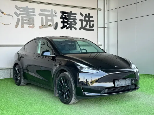 Tesla Model Y — Фото автомобиля 3
