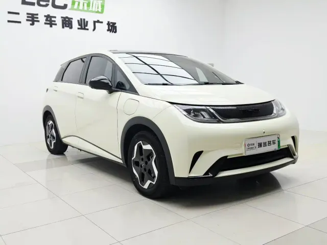 BYD Dolphin — Фото автомобиля 2
