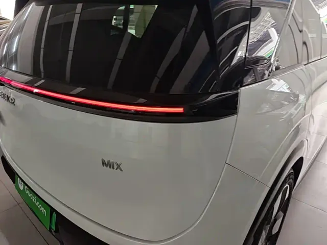 Zeekr Mix — Фото автомобиля 7