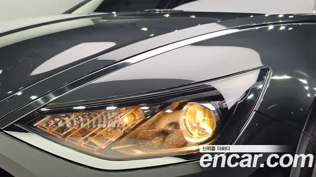 Hyundai Sonata Sonata (DN8) 2.0 LPG(Для проката) — Фото автомобиля 22