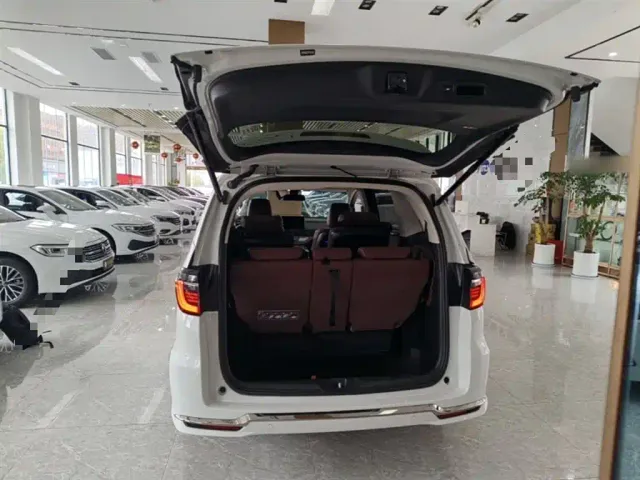 Honda Elysion — Фото автомобиля 18