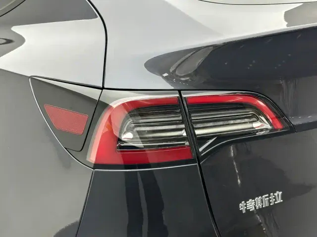 Tesla Model Y — Фото автомобиля 17