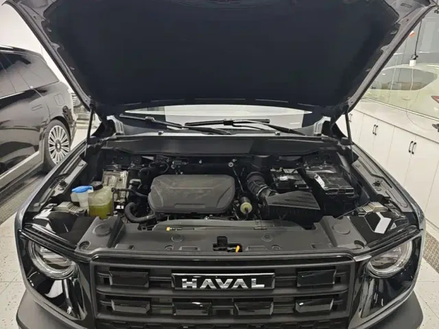 Haval Big Dog — Фото автомобиля 19