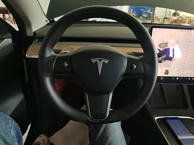 Tesla Model Y — Фото автомобиля 10