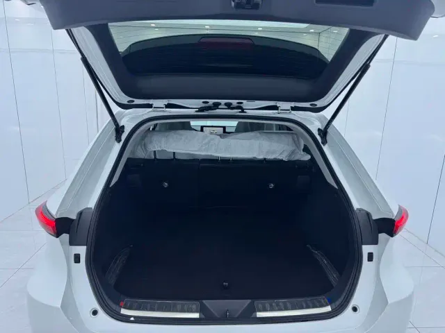 Toyota Venza — Фото автомобиля 13