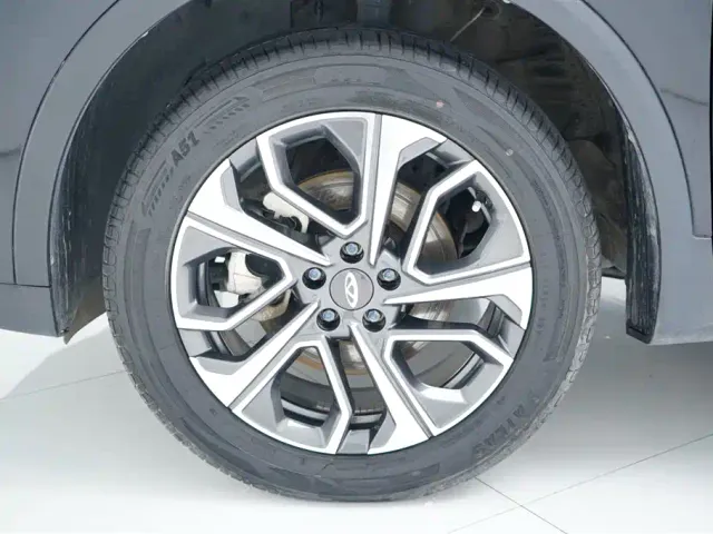 Chery Tiggo 7 PLUS — Фото автомобиля 23