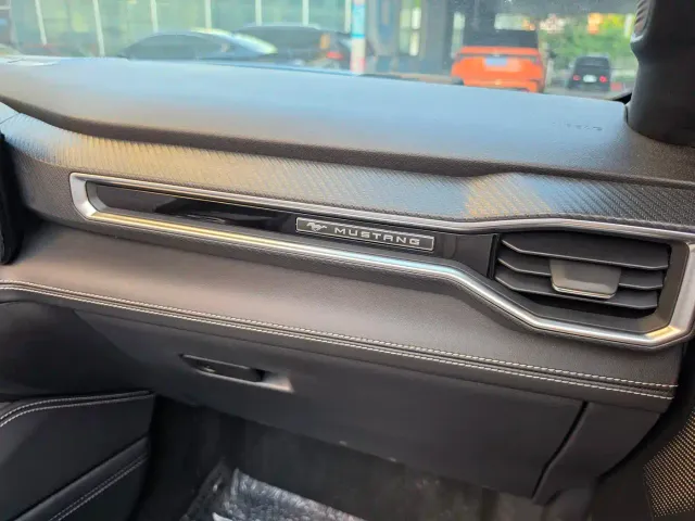 Ford Mustang — Фото автомобиля 16
