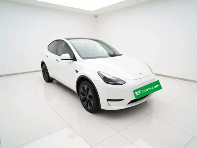 Tesla Model Y — Фото автомобиля 3