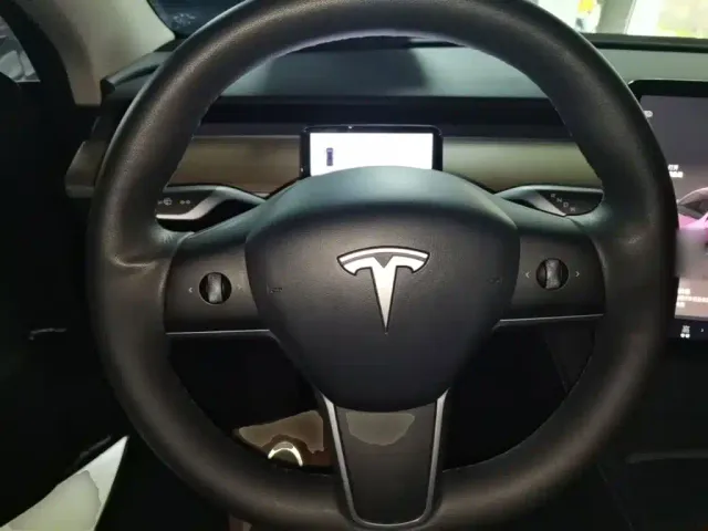 Tesla Model Y — Фото автомобиля 10