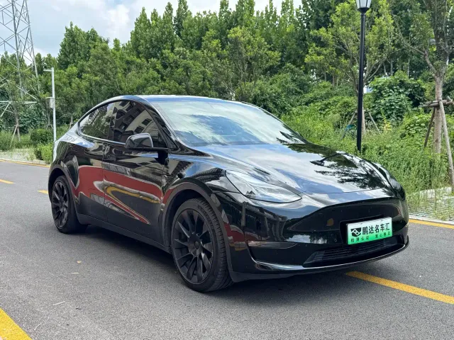 Tesla Model Y — Фото автомобиля 3
