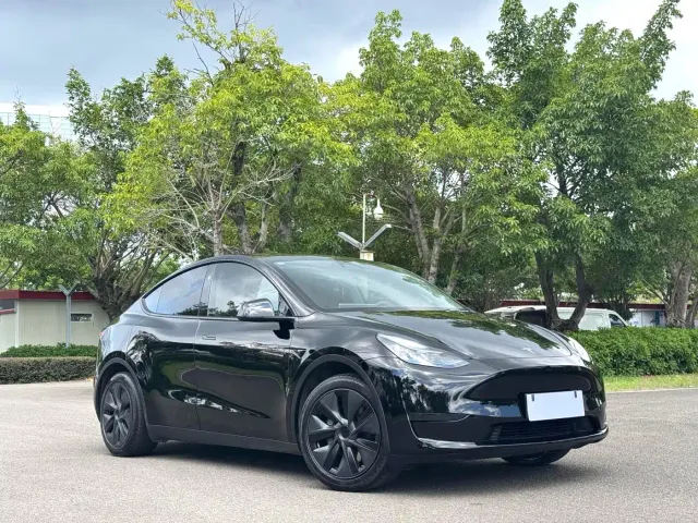 Tesla Model Y — Фото автомобиля 3