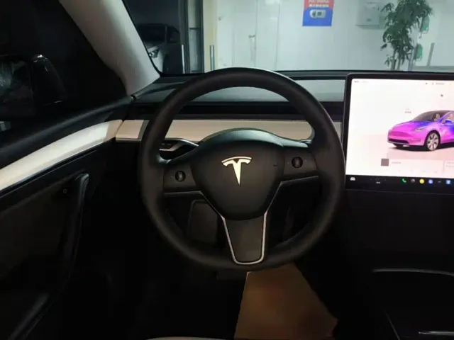 Tesla Model Y — Фото автомобиля 10