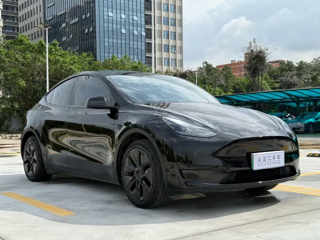 Tesla Model Y — Фото автомобиля 3