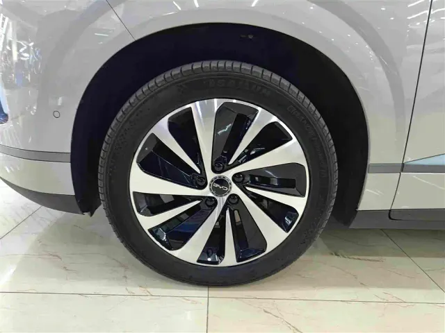BYD Sealion 06 — Фото автомобиля 10