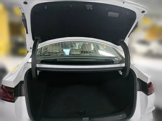 BYD Qin L — Фото автомобиля 23