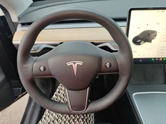 Tesla Model Y — Фото автомобиля 10