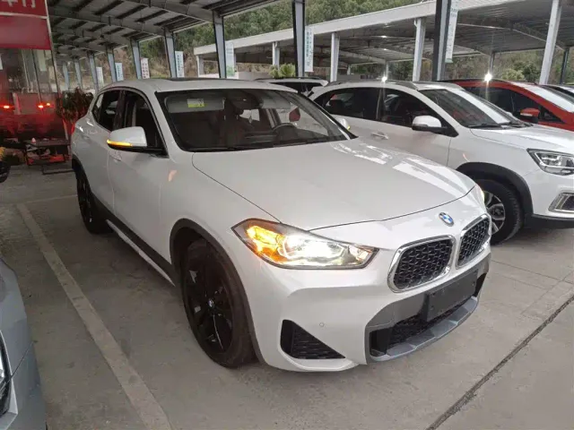BMW X2 — Фото автомобиля 21
