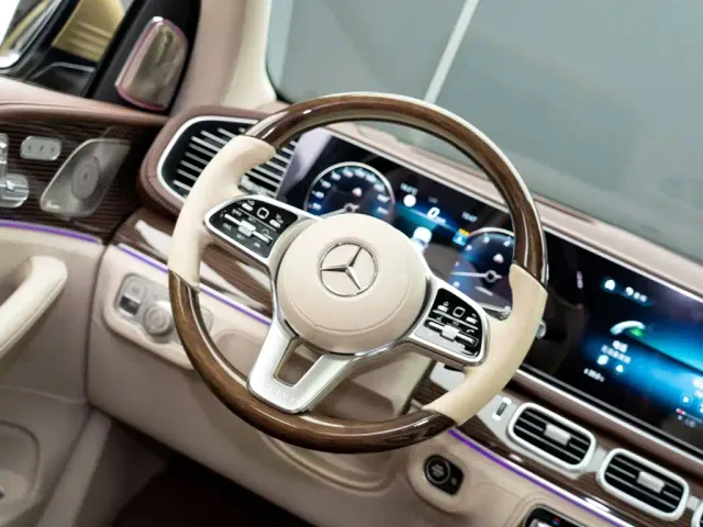 Mercedes-Benz Maybach GLS — Фото автомобиля 16