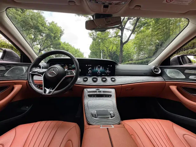 Mercedes-Benz CLS-Class — Фото автомобиля 14