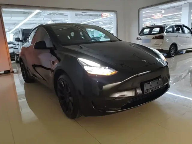 Tesla Model Y — Фото автомобиля 3