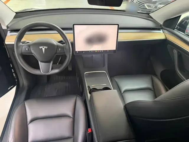Tesla Model Y — Фото автомобиля 10
