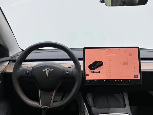 Tesla Model 3 — Фото автомобиля 8