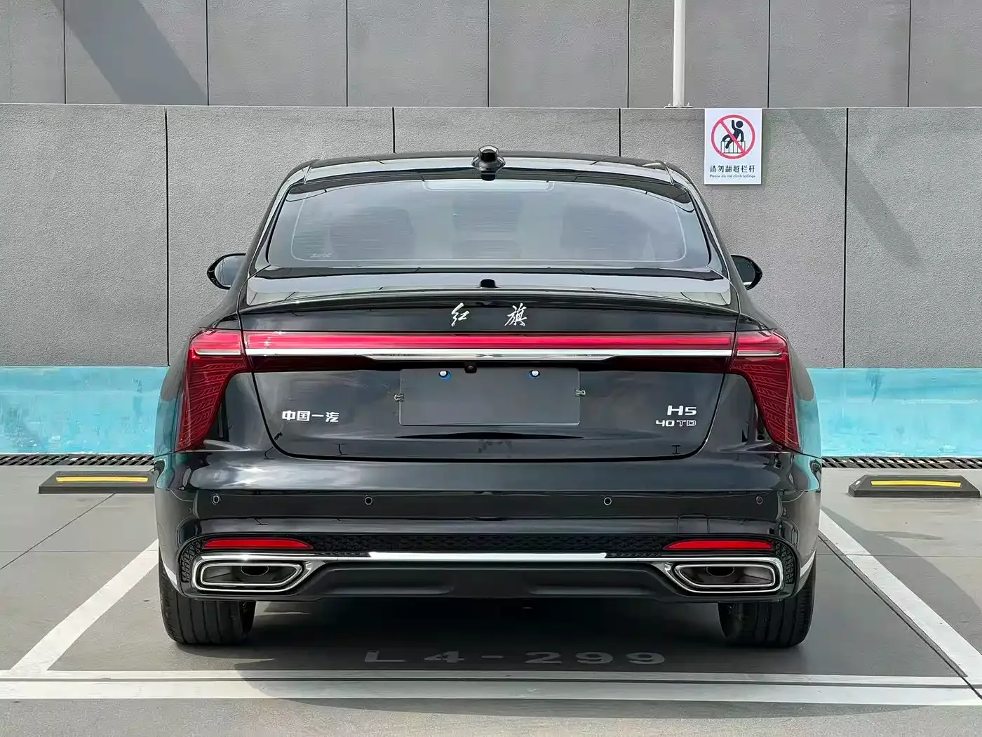 Hongqi Hongqi H5 2023 2.0T Auto Smart Connect Flag Comfort — Фото автомобиля 5