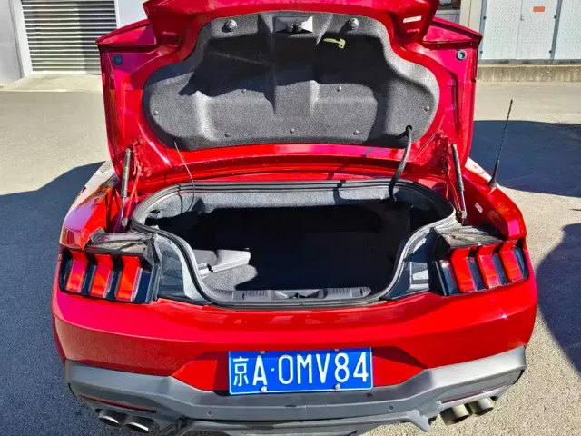 Ford Mustang — Фото автомобиля 11