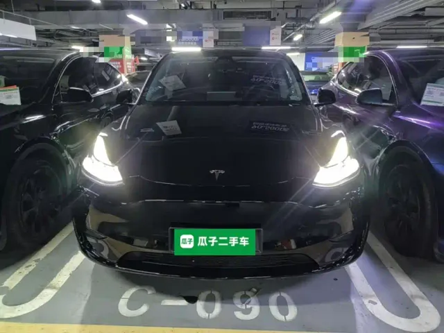 Tesla Model Y — Фото автомобиля 2