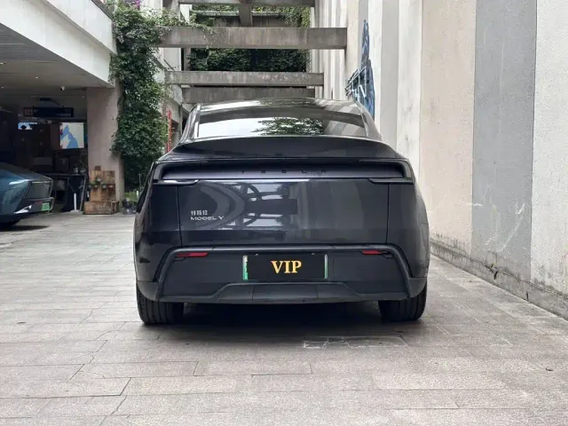 Tesla Model Y — Фото автомобиля 7