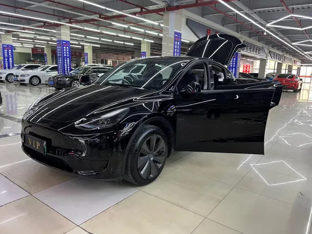 Tesla Model Y — Фото автомобиля 16