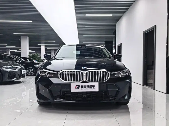 BMW 3 Series — Фото автомобиля 2