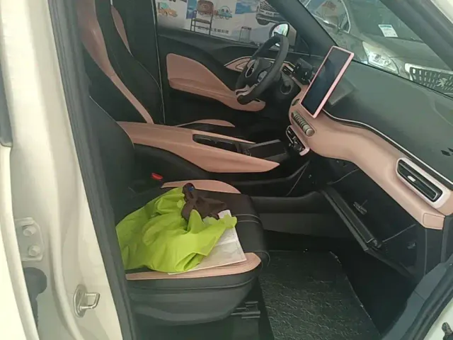 BYD Seagull — Фото автомобиля 24