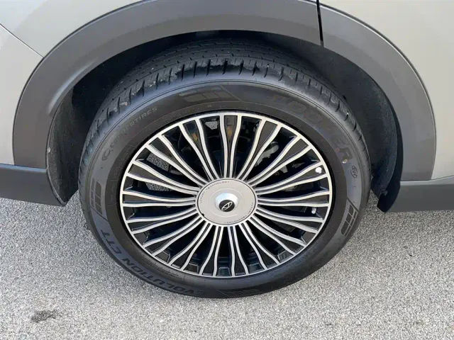 Chery Tiggo 8L — Фото автомобиля 16