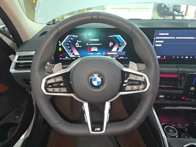 BMW 3 Series — Фото автомобиля 10