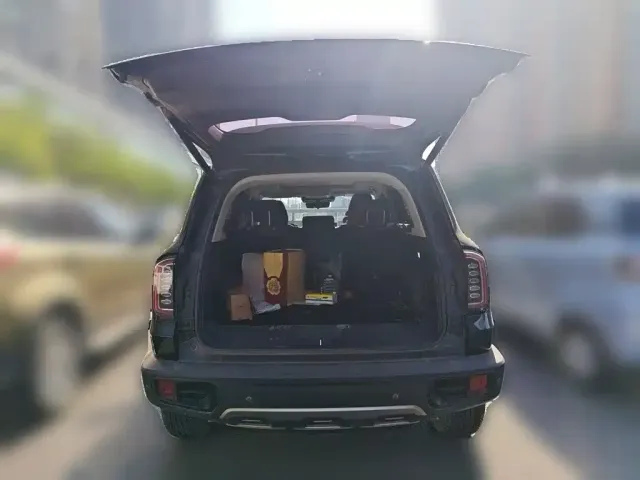 Haval Haval Big Dog 2022 1.5T DCT FWD Border Collie Edition — Фото автомобиля 9