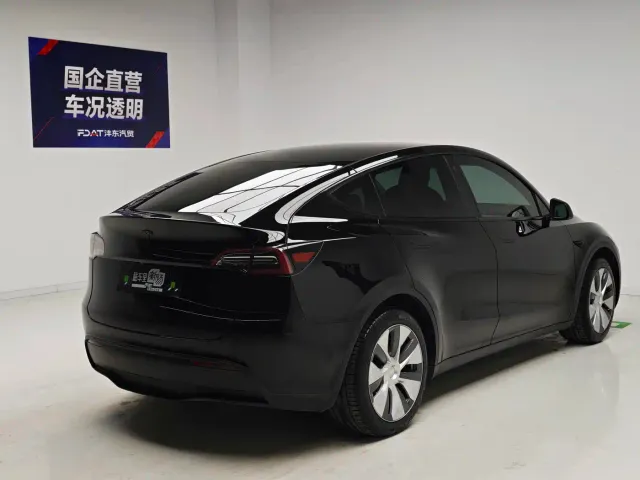 Tesla Model Y — Фото автомобиля 4