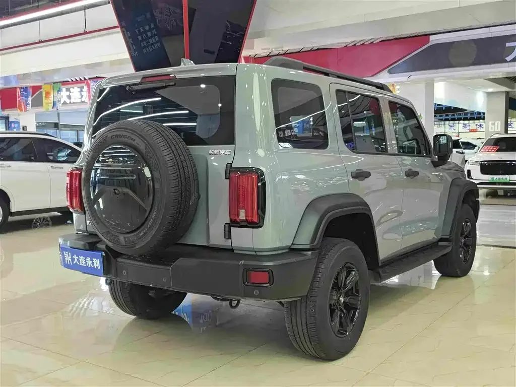Tank Tank 300 2021 Off-road Version 2.0T Conqueror — Фото автомобиля 13