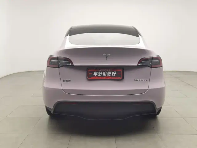 Tesla Model Y — Фото автомобиля 4