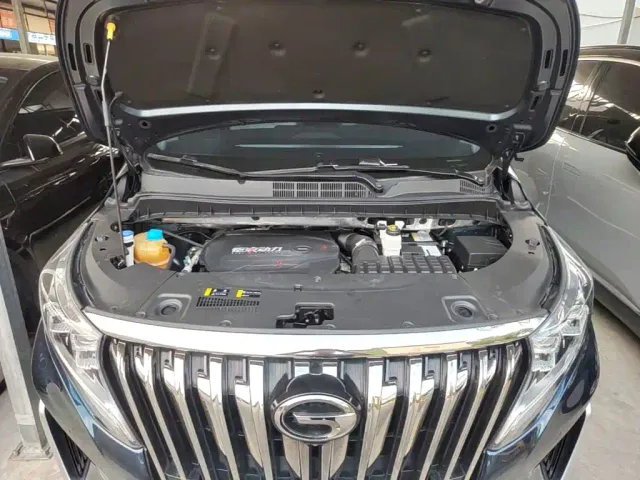 GAC Trumpchi M8 — Фото автомобиля 19
