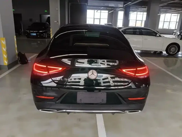 Mercedes-Benz CLS-Class — Фото автомобиля 5