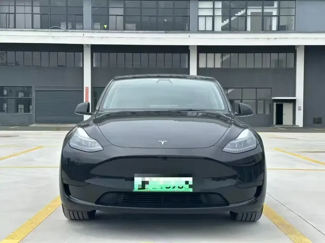 Tesla Model Y — Фото автомобиля 2