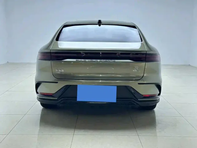 BYD Han — Фото автомобиля 7