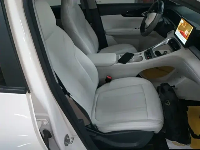 Geely Starry Wish — Фото автомобиля 24
