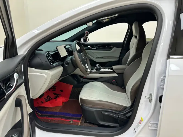 BYD Qin PLUS — Фото автомобиля 14