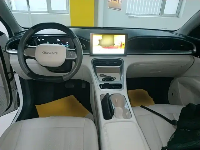Geely Starry Wish — Фото автомобиля 9
