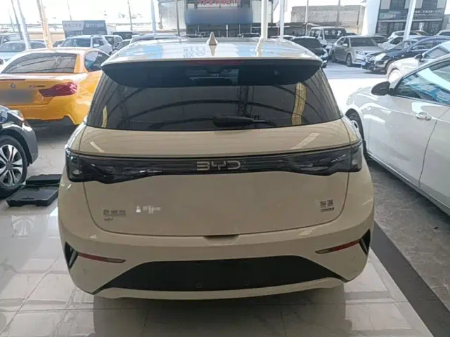 BYD Dolphin — Фото автомобиля 5