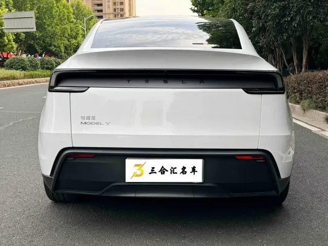 Tesla Model Y — Фото автомобиля 9