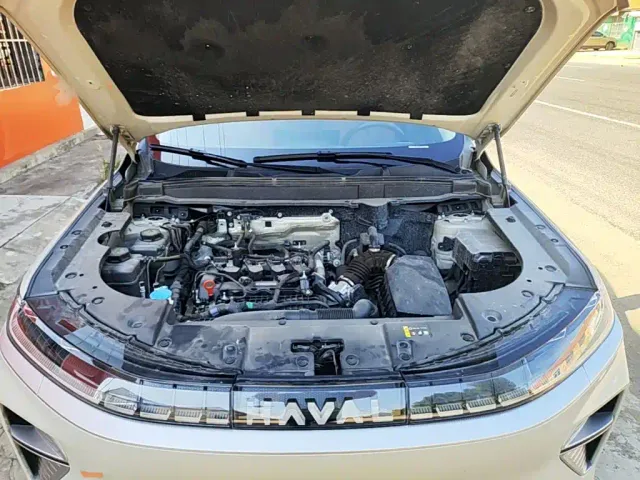 Haval Xiaolong MAX — Фото автомобиля 19